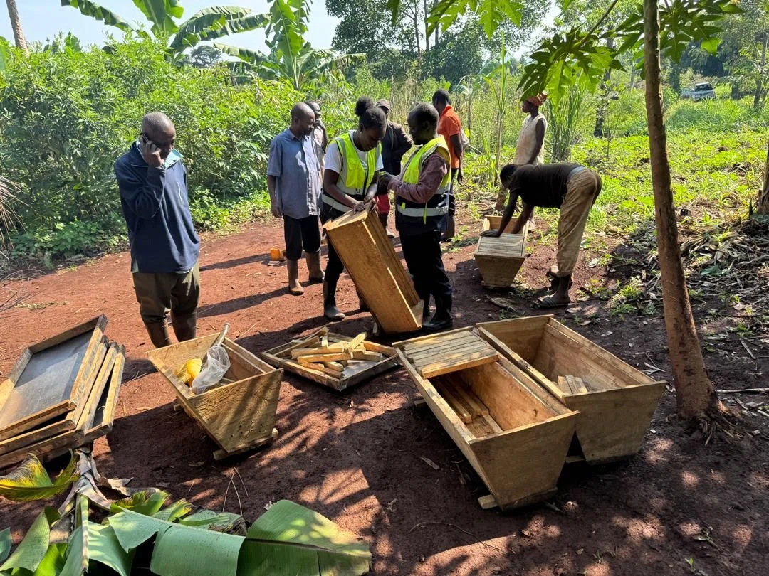 Group of community members assembling hives together