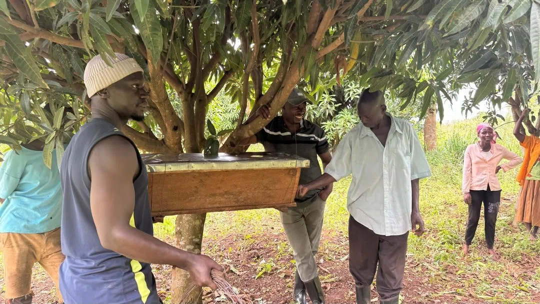 Beekeeping as a Living Shield: Fostering Human-Wildlife Coexistence in Masindi and Hoima