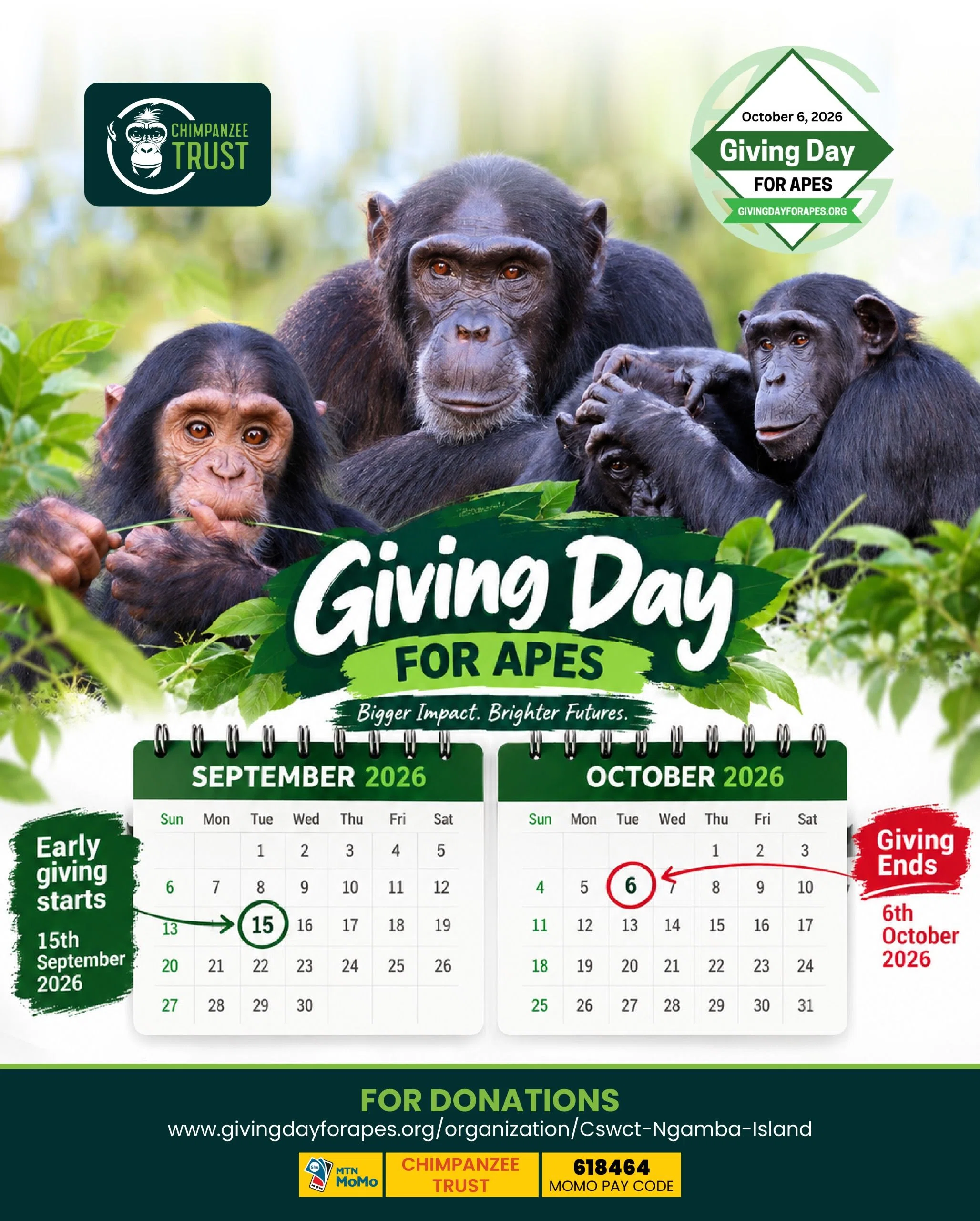 Your Gift Can Change Lives: Giving Day for Apes 2026